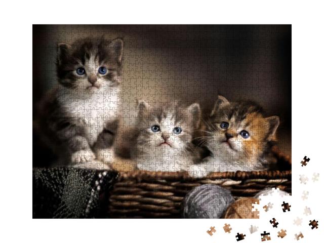 Three Kittens in a Basket Closeup... Jigsaw Puzzle with 1000 pieces