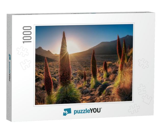 Landscape of Tenerife, Canary Islands... Jigsaw Puzzle with 1000 pieces