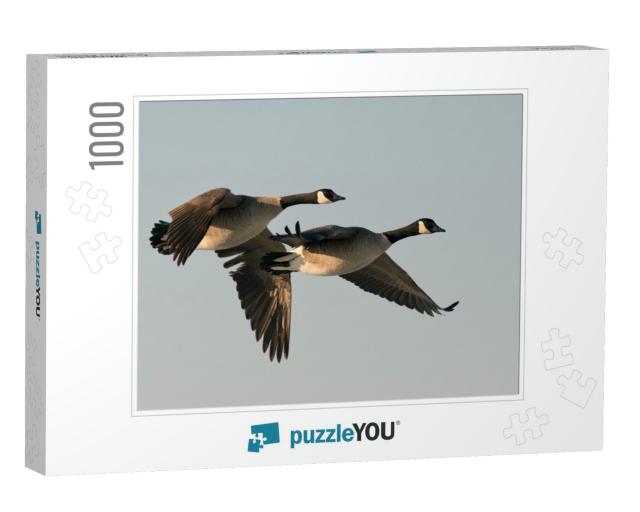 Pair of Flying Geese... Jigsaw Puzzle with 1000 pieces
