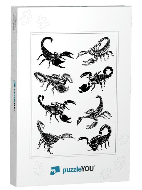 Graphical Set of Scorpions Isolated on White Background... Jigsaw Puzzle
