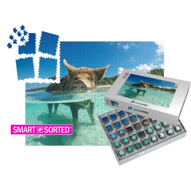 Wild, Swimming Pig on Big Majors Cay in the Bahamas... | SMART SORTED® | Jigsaw Puzzle with 1000 pieces