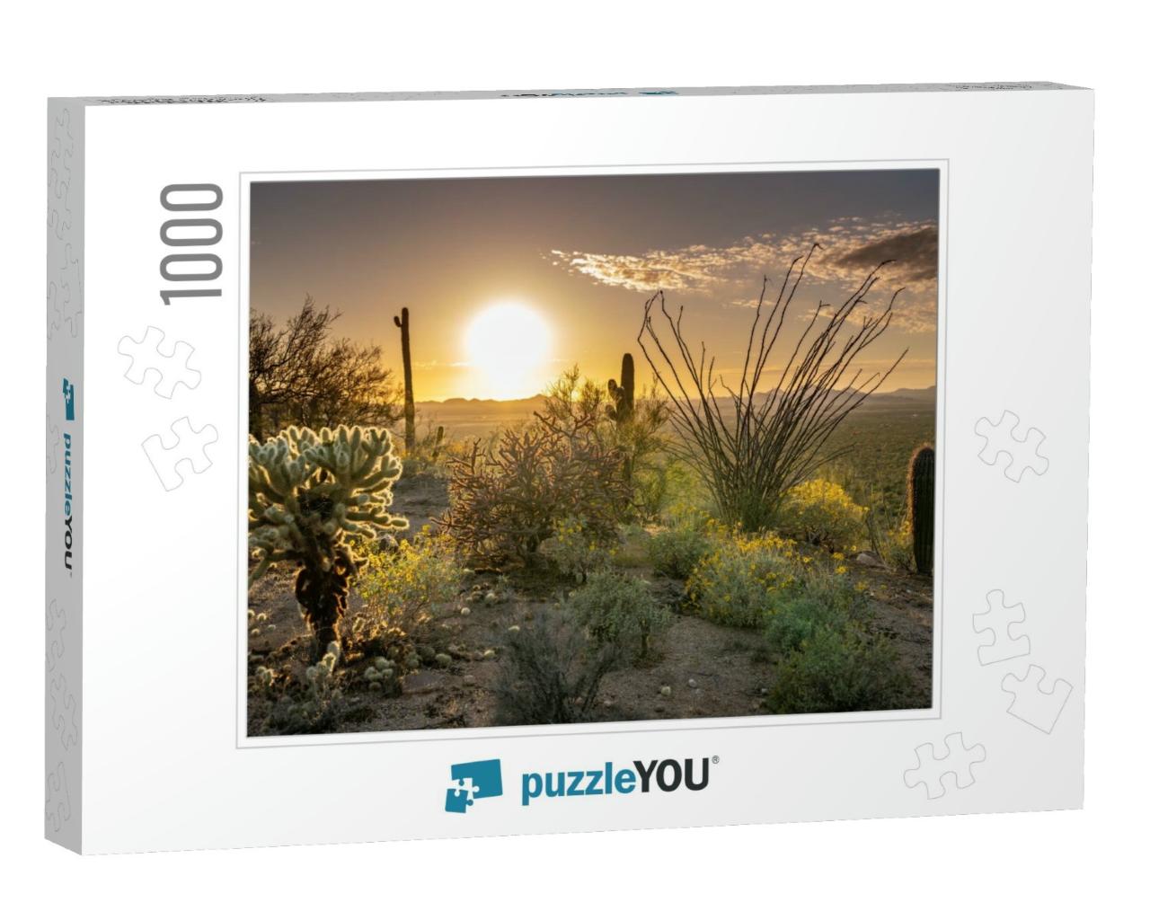Sunset At Saguaro National Park West... Jigsaw Puzzle with 1000 pieces