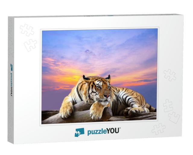 Tiger Looking Something on the Rock with Beautiful Sky At... Jigsaw Puzzle