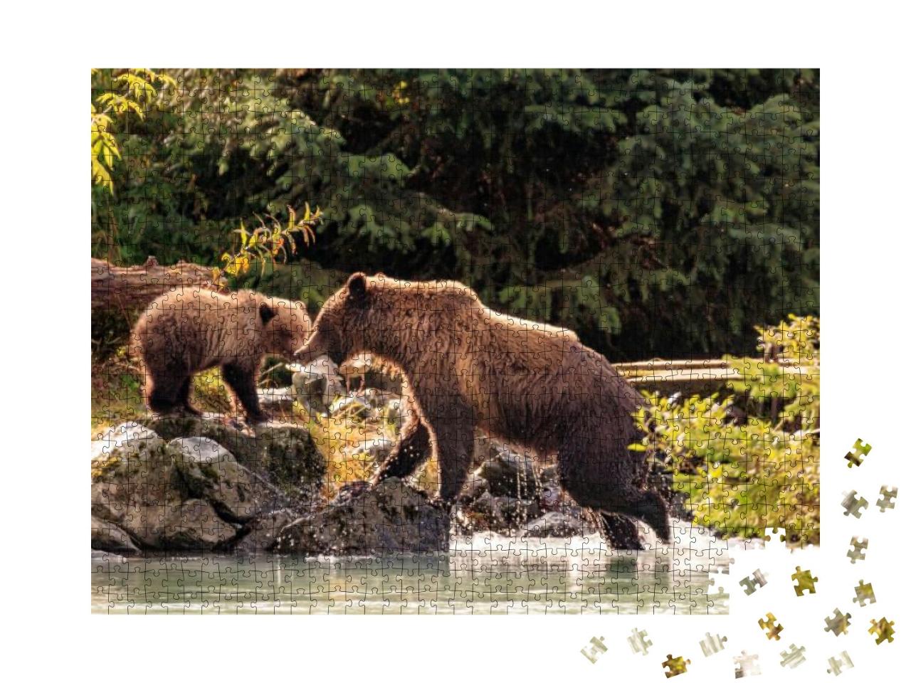 Mother Bear Fishing with Cubs in Chilkoot River, Haines A... Jigsaw Puzzle with 1000 pieces