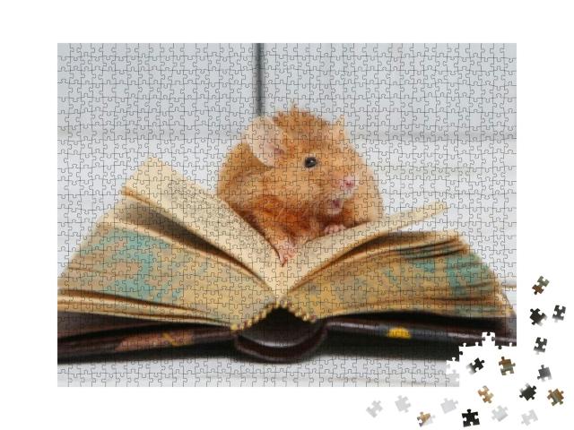 Mouse. Cute Pet Mouse Reads. Talented Animal with Book. B... Jigsaw Puzzle with 1000 pieces