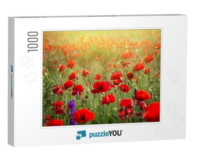 Vivid Poppy Field. Beautiful Red Poppy Flowers on Green F... Jigsaw Puzzle with 1000 pieces