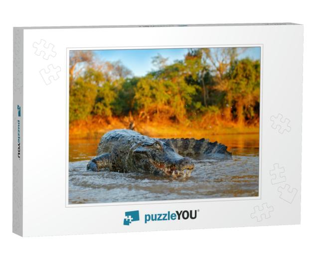 Crocodile Catch Fish in River Water, Evening Light. Yacar... Jigsaw Puzzle