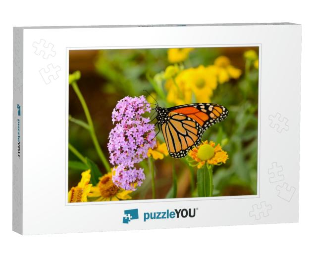 Monarch Butterfly - a Monarch Butterfly Feeding on Pink F... Jigsaw Puzzle