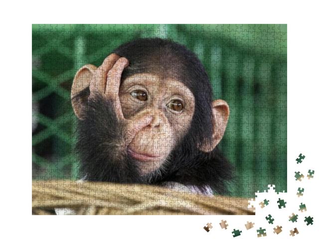 Chimpanzee Face... Jigsaw Puzzle with 1000 pieces