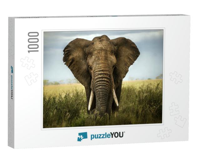 Background Elephant... Jigsaw Puzzle with 1000 pieces