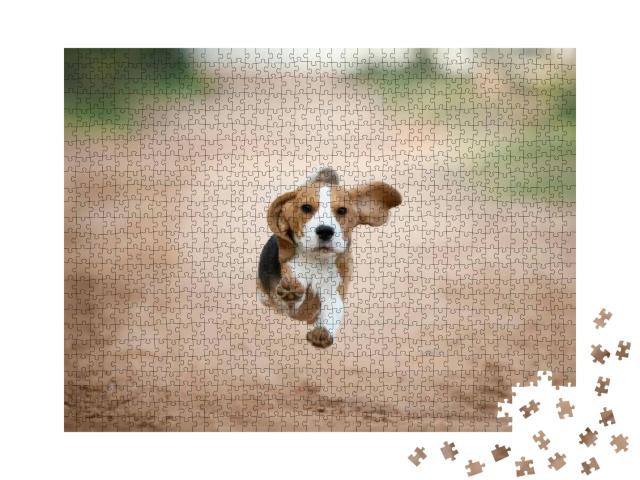 Beagle Puppy Running Happy in the Backyard... Jigsaw Puzzle with 1000 pieces