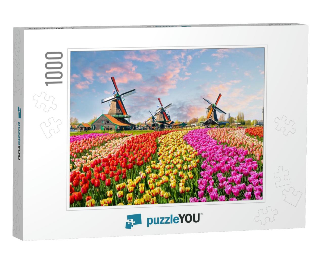 Landscape with Tulips, Traditional Dutch Windmills & Hous... Jigsaw Puzzle with 1000 pieces