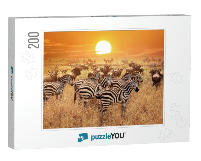 Zebra At Sunset in the Serengeti National Park. Africa. T... Jigsaw Puzzle with 200 pieces