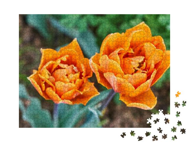 Flower Garden, a Bunch of Oranges Tulips Sitting on Top o... Jigsaw Puzzle with 1000 pieces