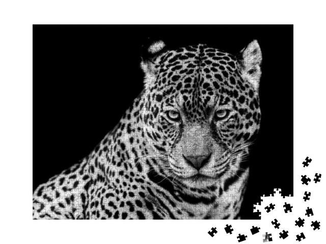 Jaguar with a Black Background in B&W... Jigsaw Puzzle with 1000 pieces
