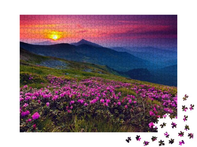 Magic Pink Rhododendron Flowers on Summer Mountain... Jigsaw Puzzle with 1000 pieces