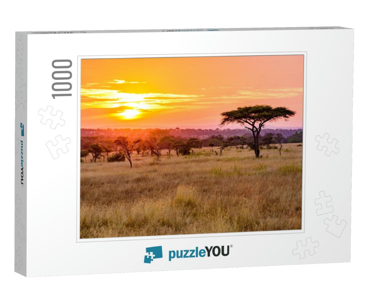 Sunset in Savannah of Africa with Acacia Trees, Safari in... Jigsaw Puzzle with 1000 pieces