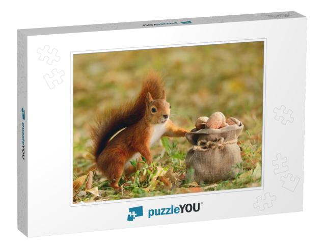 Portrait of a Red Squirrel Holding a Bag with Nuts... Jigsaw Puzzle