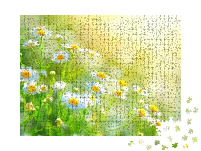 Chamomile Field Flowers Border. Beautiful Nature Scene wi... Jigsaw Puzzle with 1000 pieces