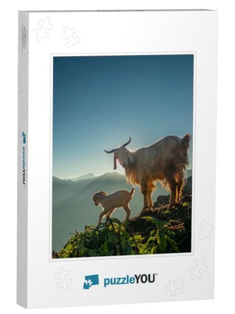 A Goat & Its Kid a Baby Goat in the Mountain with Morning... Jigsaw Puzzle