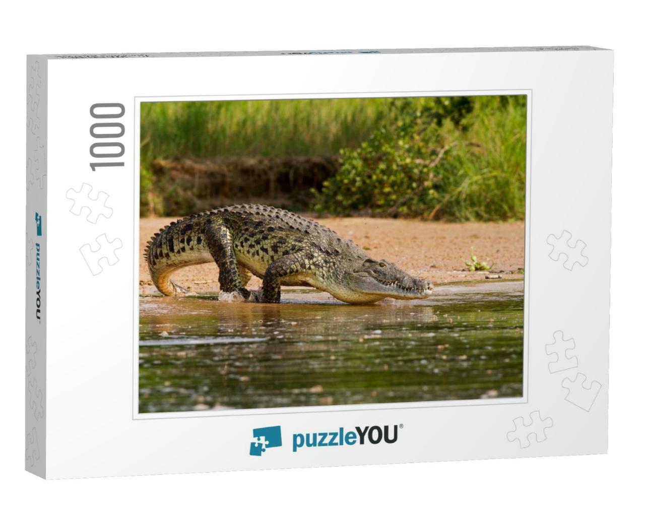 A Nile Crocodile, the Bigger Predator of the Nile River... Jigsaw Puzzle with 1000 pieces
