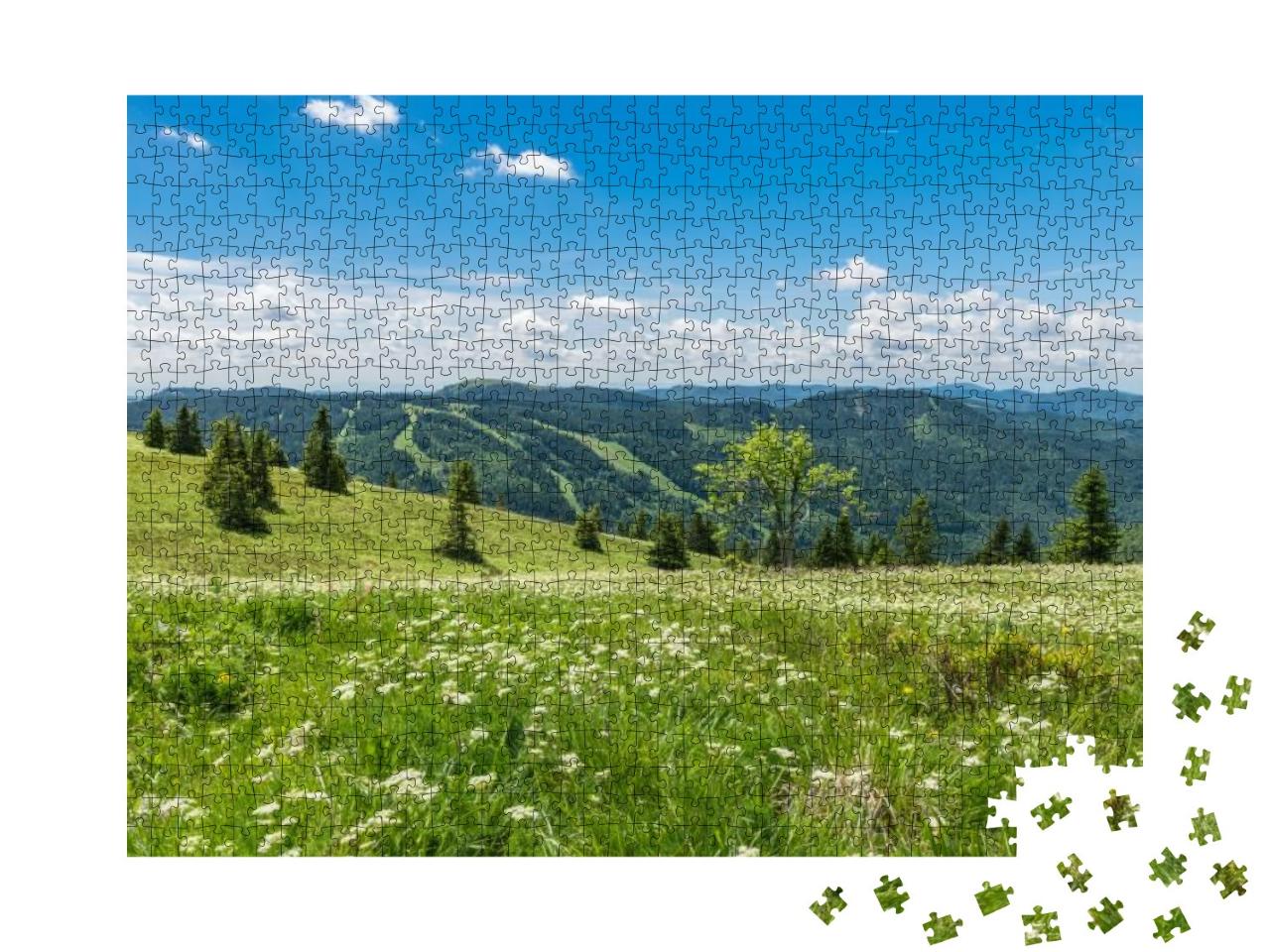 Beautiful Black Forest... Jigsaw Puzzle with 1000 pieces