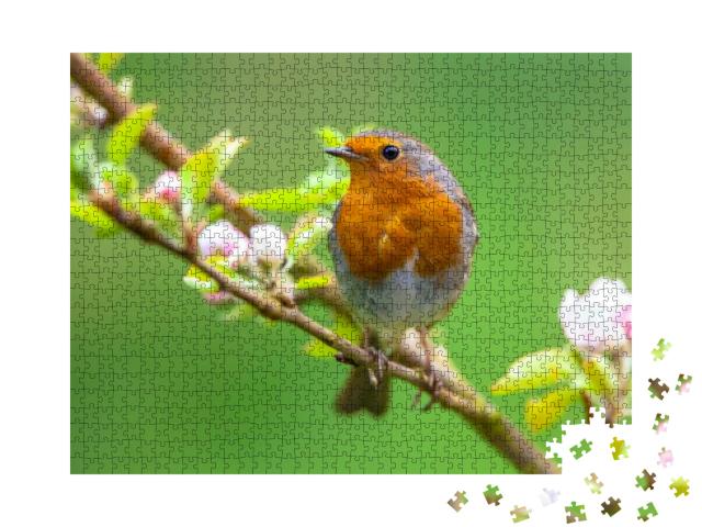 A Red Robin Erithacus Rubecula in Between White Fruit Blo... Jigsaw Puzzle with 1000 pieces