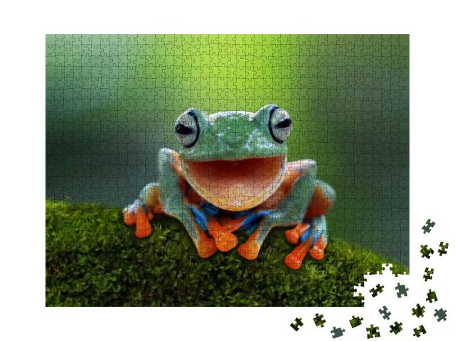 Tree Frog, Flying Frog Laughing, Animal Closeup... Jigsaw Puzzle with 1000 pieces