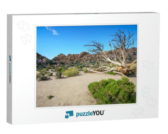 Hiking the Hidden Valley Trail in Joshua Tree National Pa... Jigsaw Puzzle