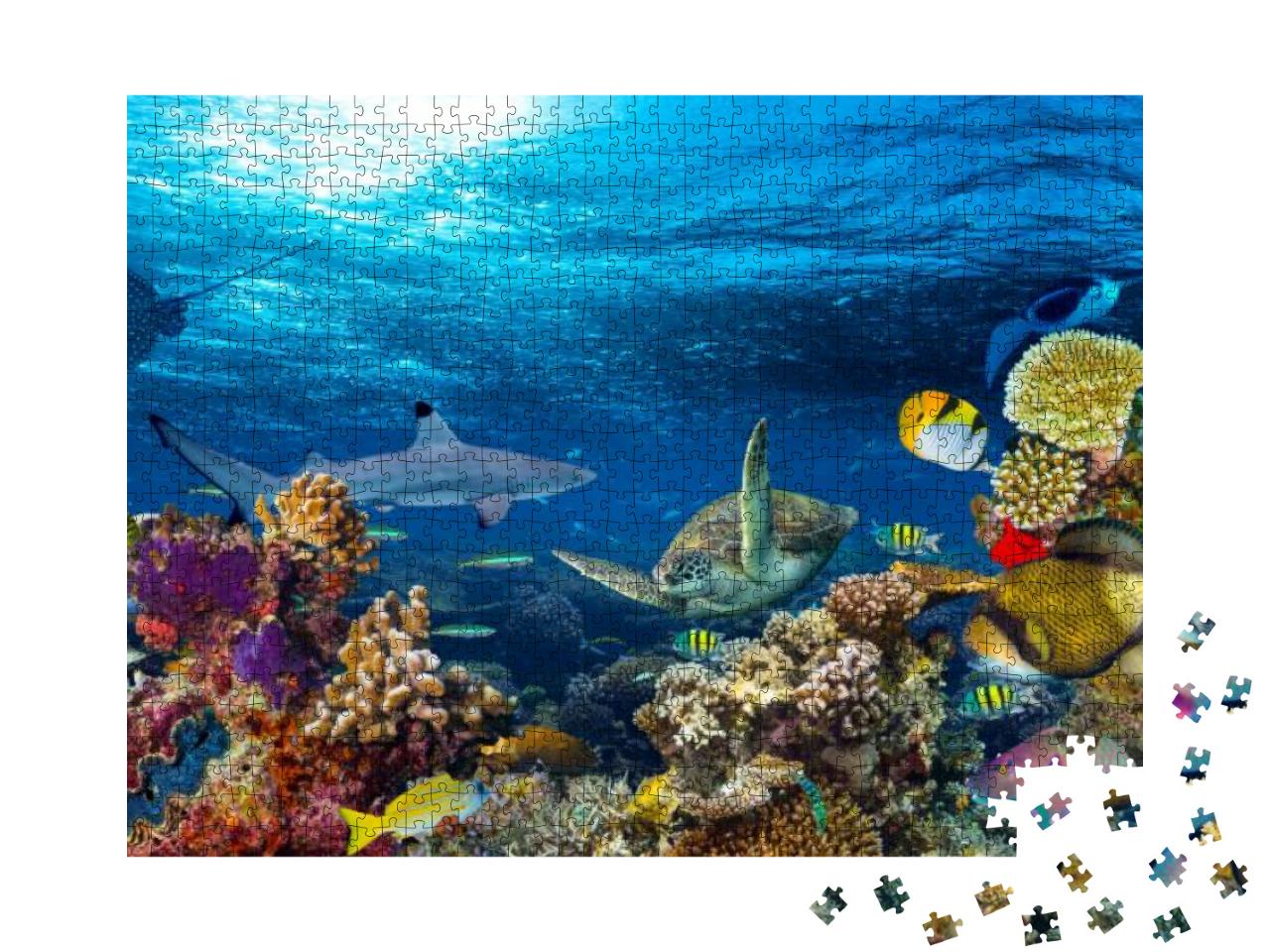 Underwater Coral Reef Landscape 16to9 Background in the D... Jigsaw Puzzle with 1000 pieces
