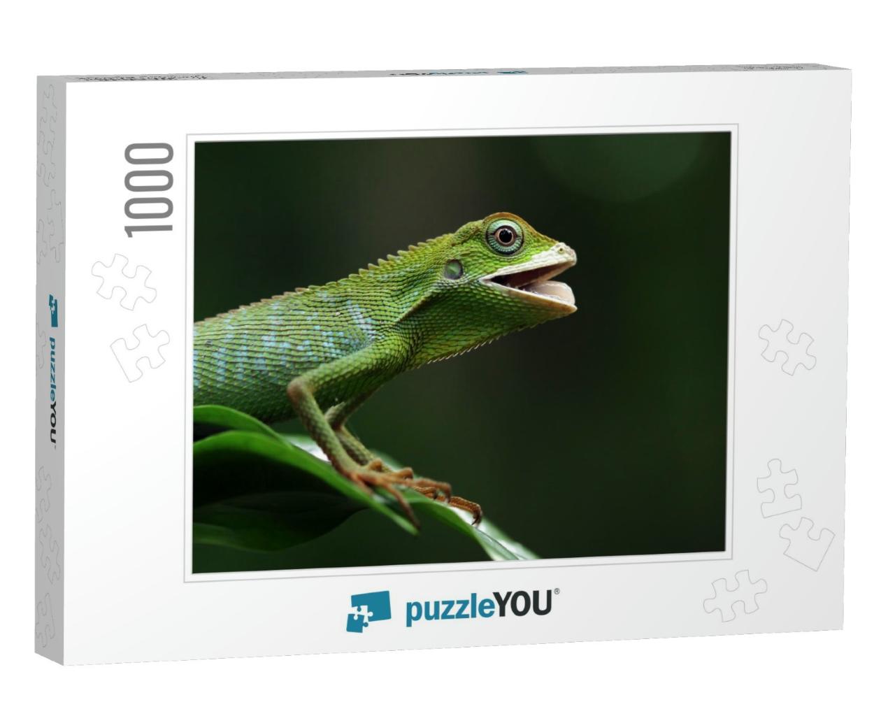 Green Lizard on Branch, Green Lizard Sunbathing on Branch... Jigsaw Puzzle with 1000 pieces