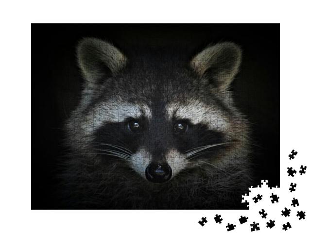Portrait of a Cute Raccoon on a Black Background... Jigsaw Puzzle with 1000 pieces
