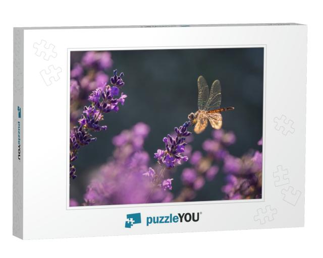 Blooming Lavender with Dragonfly Black Pennant in... Jigsaw Puzzle