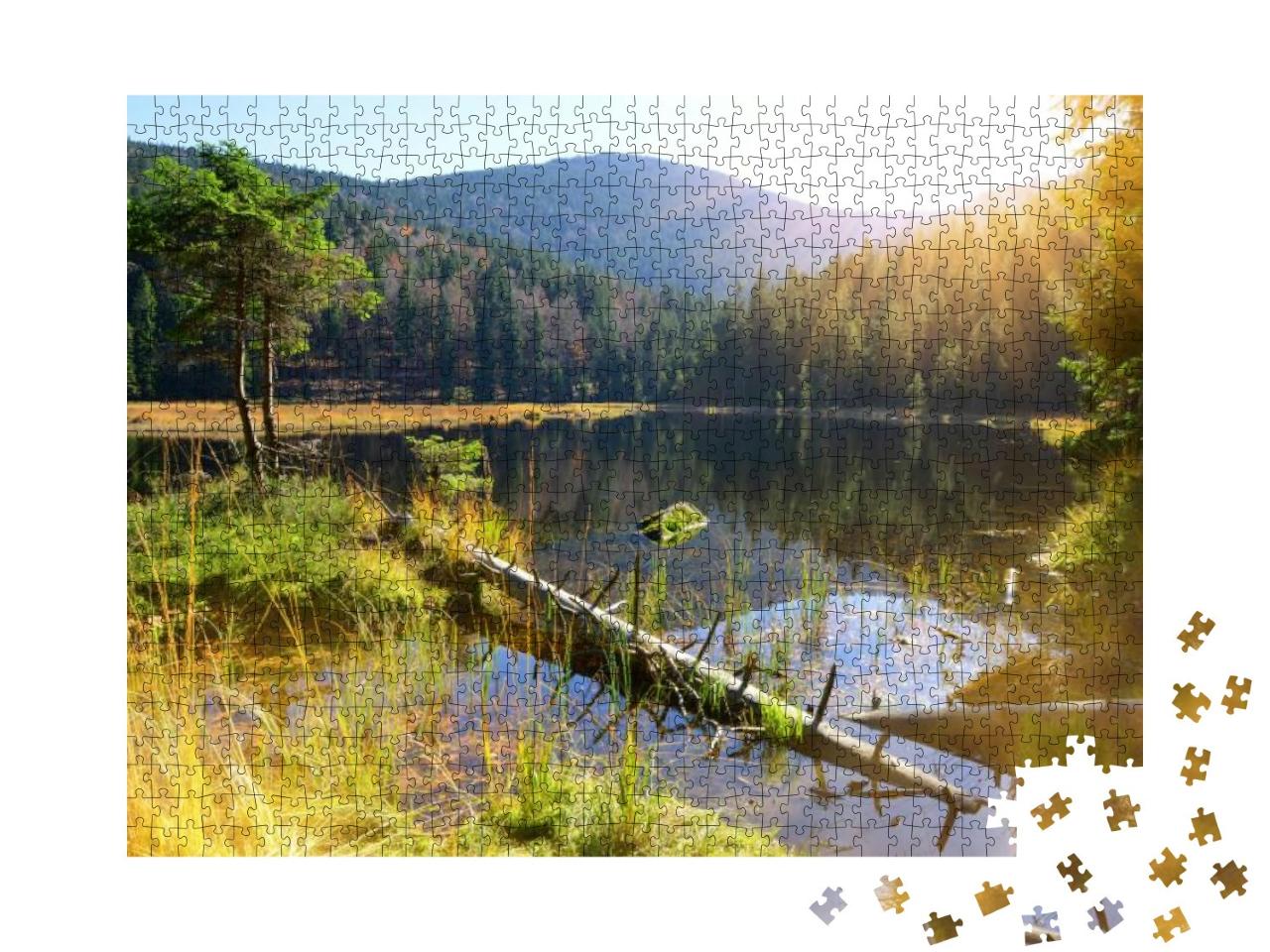 Moraine Lake Kleiner Arbersee in National Park Bavarian F... Jigsaw Puzzle with 1000 pieces