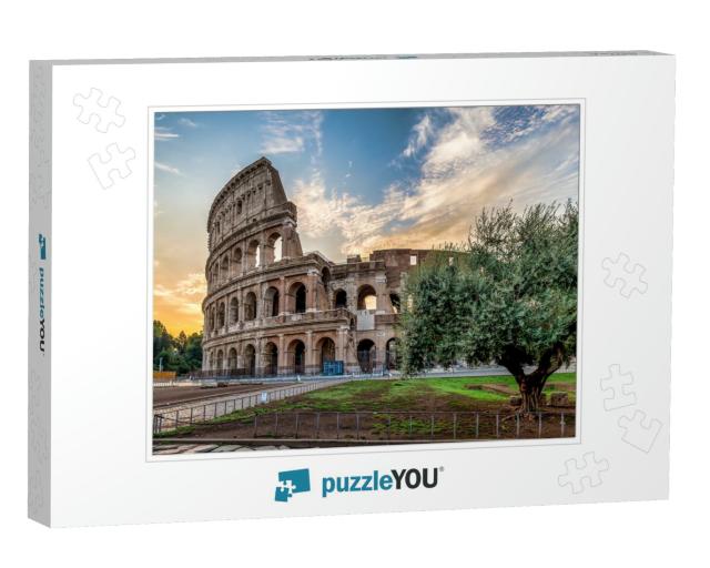 Detail of Colosseum in Rome Roma, Italy. Also Named Colis... Jigsaw Puzzle