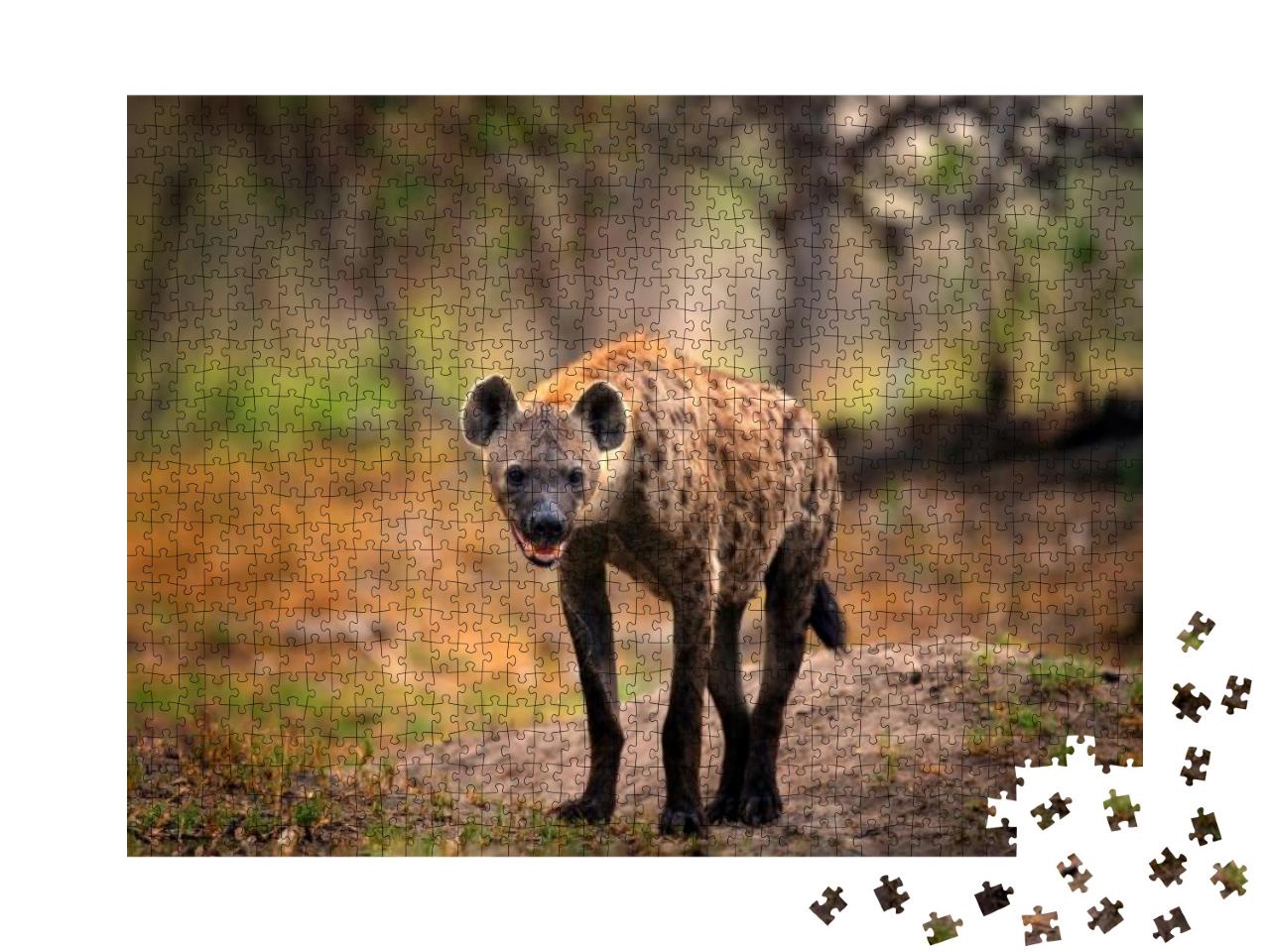Hyena, Detail Portrait. Spotted Hyena, Crocuta Crocuta, A... Jigsaw Puzzle with 1000 pieces