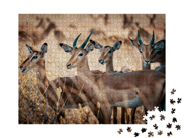 Group of Impala Antelopes Standing in the High Grass of C... Jigsaw Puzzle with 1000 pieces