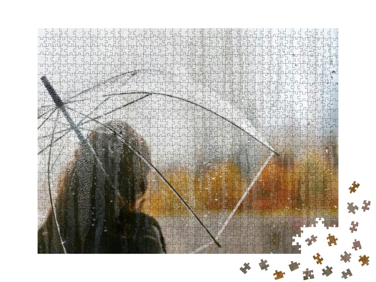 A Woman Silhouette with Transparent Umbrella Through Wet... Jigsaw Puzzle with 1000 pieces