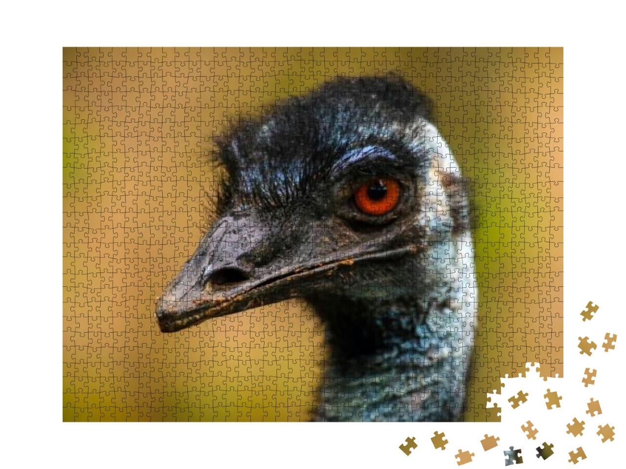 Close Up Portrait of Emus Showing Beak & Head on a Blurre... Jigsaw Puzzle with 1000 pieces
