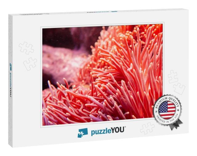 Flower Sea Living Coral & Reef Color Under Deep Dark Wate... Jigsaw Puzzle