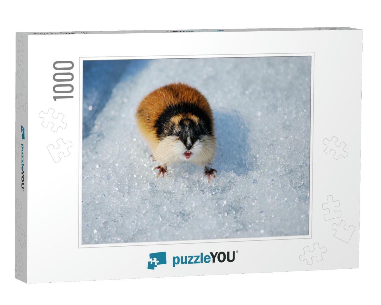 Angry Lemming in the Snow... Jigsaw Puzzle with 1000 pieces