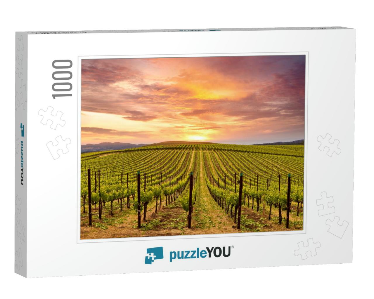 Beautiful Sunset Sky in Napa Valley Wine Country on Sprin... Jigsaw Puzzle with 1000 pieces