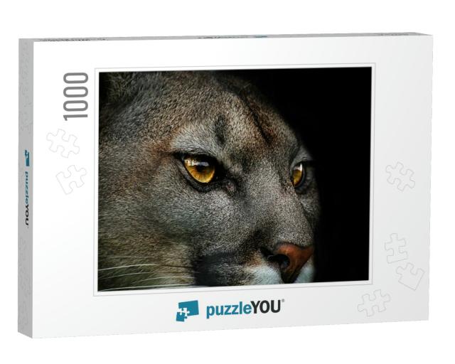 Close-Up of Cougar. Detail Portrait American Puma. Poster... Jigsaw Puzzle with 1000 pieces