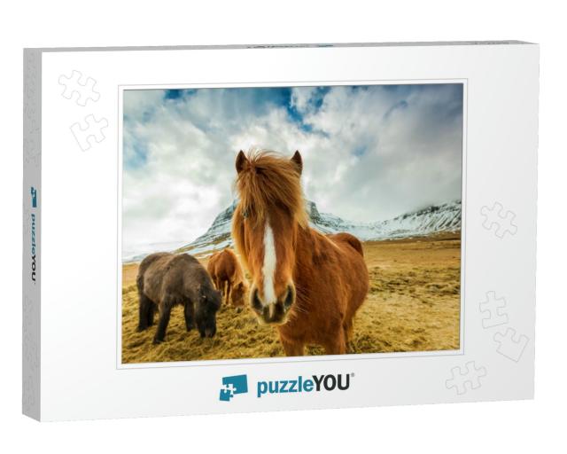 Horses in the Mountains in Iceland... Jigsaw Puzzle