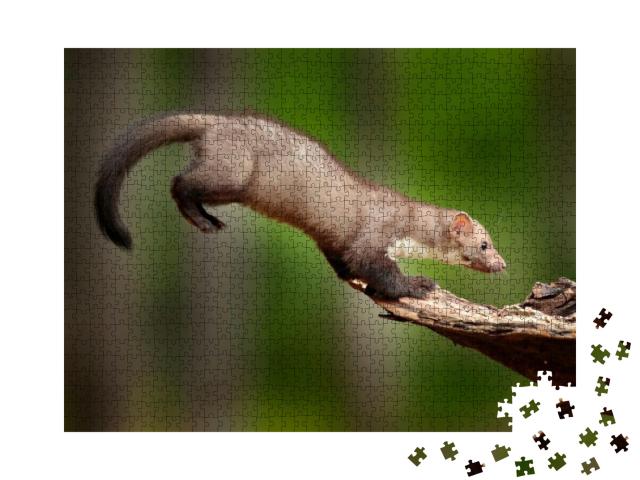 Jump in the Nature. Jumping Beech Marten, Small Opportuni... Jigsaw Puzzle with 1000 pieces
