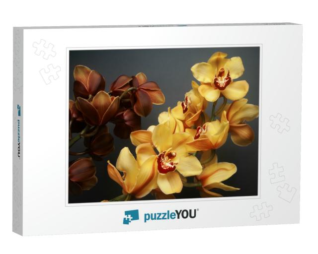 Composition of Beautiful Yellow & Brown Cymbidium Orchid... Jigsaw Puzzle