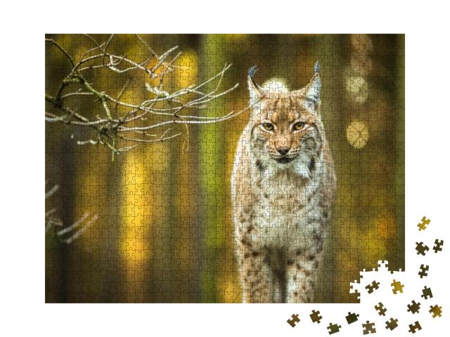 Eurasian Lynx Lynx... Jigsaw Puzzle with 1000 pieces