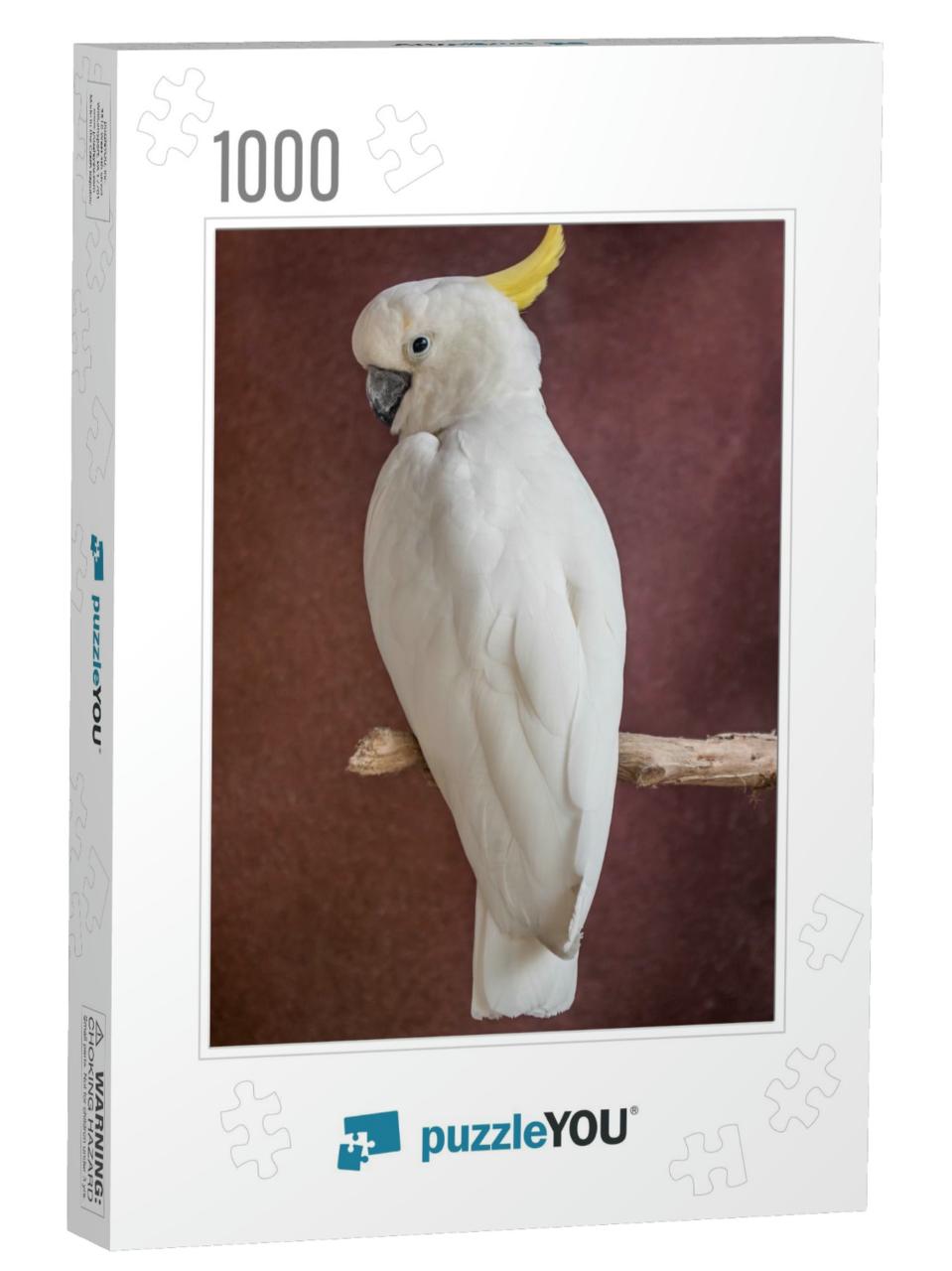 White Parrot on a Branch... Jigsaw Puzzle with 1000 pieces