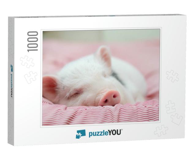 Cute Pig Sleeps on a Striped Blanket. Christmas Pig... Jigsaw Puzzle with 1000 pieces