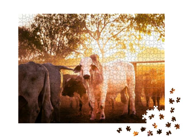 The Bulls in the Yards on a Remote Cattle Station in Nort... Jigsaw Puzzle with 1000 pieces